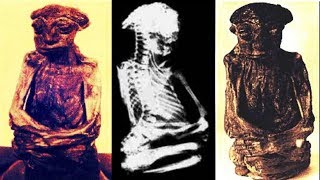 The Mystery of The San Pedro Mountains Mummy  The Truth Behind Mummified Pygmy [upl. by Tsenre]