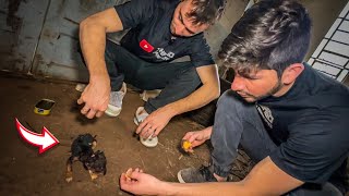 ENCONTRAMOS ESSE BEBEZINHO DENTRO DA IGREJA ABANDONADA SOZINHO [upl. by Yddur803]