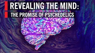 Revealing the Mind The Promise of Psychedelics [upl. by Crowell]