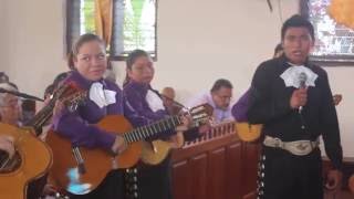 quotFELICIDADES FELICIDADES QUE TENGAS DICHA TODA LA VIDAquot Mexican mariachis [upl. by Caralie]