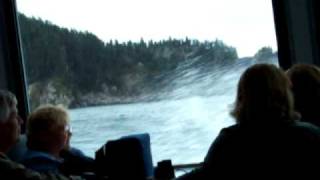 Kenai Fjords Cruise [upl. by Baxie]