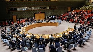 UN Security Council meeting on Syria [upl. by Panter80]