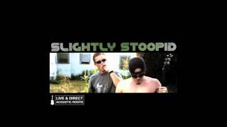 Slightly Stoopid  Wiseman Live [upl. by Cutler]