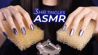 ASMR for People Who Don’t Get Tingles 3hr  Everyday Items Mildly Fast amp Intense No Talking [upl. by Warford289]