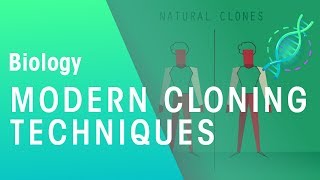 Modern Cloning Techniques  Genetics  Biology  FuseSchool [upl. by Nahor]