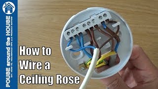 How to wire a ceiling rose  lighting circuits explained Ceiling rose pendant install [upl. by Duleba723]