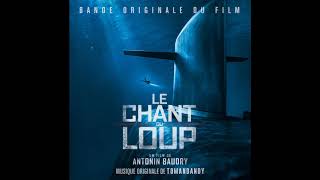 Tomandandy  Alignment  Le Chant du Loup Original Motion Picture Soundtrack [upl. by Lorry]