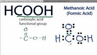 HCOOH Lewis Structure How to Draw the Lewis Structure for HCOOH [upl. by Liakim935]