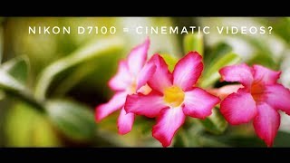 Nikon D7100 Cinematic Test [upl. by Goddart]