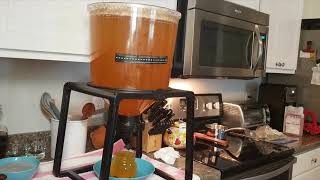 Passionfruit Weissbier Wheat Beer Bottling Day Using Catalyst Fermenter [upl. by Carmelle248]