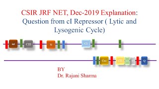 CSIR JRF NET Dec2019 Explanation Question from cI Repressor  Lytic and Lysogenic Cycle [upl. by Ahsaele]