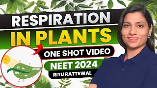 Respiration in Plants Class 11 one shot NCERT  All Concept amp PYQS  Ritu Rattewal  NEET Biology [upl. by Hakeem]