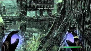 Skyrim Discerning The Transmundane Harvest Blood Walkthrough [upl. by Cunningham]