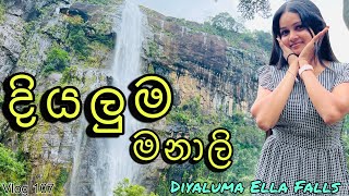 ප්‍රාර්ථනා බෝධිය  Bambarakanda to Wellawaya Diyaluma Ella Falls 20 days trip Day 12 WolfyVlogs [upl. by Noslen]