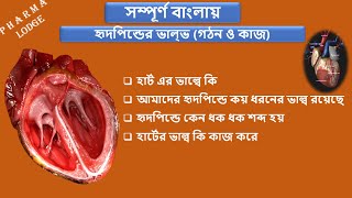 Structure and function of heart valve in bangla  Tricuspid valve in bangla  Mitral valve [upl. by Ari838]