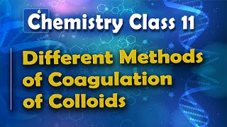 Different Methods of Coagulation of Colloids  Surface Chemistry  Chemistry Class 11 [upl. by Roz950]