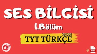 Ses Bilgisi 1 Ses Olayları  TYT Türkçe 2023 Deniz Hoca [upl. by Gerick]