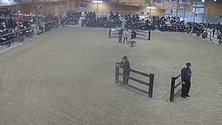 Topeka Livestock Auction Live Stream [upl. by Quenby]