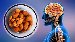 Almonds Benefits Top 10 Health Benefits of Almonds That Will Surprise You [upl. by Adnorehs438]