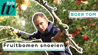 Boer Tom vertelt hoe en wanneer je het beste je fruitbomen kunt snoeien [upl. by Fafa]