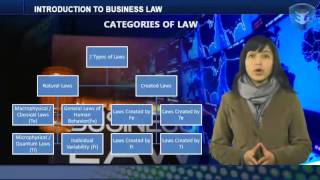 INTRODUCTION TO BUSINESS LAW [upl. by Alvan]