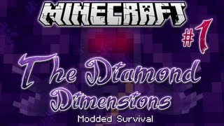 quotPUNCH WOOD MANquot  Diamond Dimensions Modded Survival 1  Minecraft [upl. by Cass]