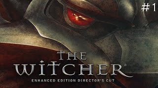 The Witcher  Toss a coin to your witcher Part 1 [upl. by Steve]