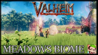 Valheim  Meadows Biome  Starting Tips [upl. by Emelda]