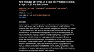 MRI changes observed in a case of atypical scrapie in a 7yearold Herdwick ewe [upl. by Ragouzis]