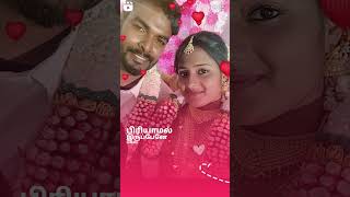 unakaga poranthanee enthazhaga🥰panniyarum pathamanium  movie song [upl. by Llebpmac542]