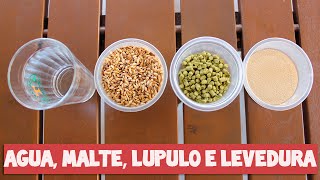 Como fazer cerveja O que é cerveja  Parte 110 [upl. by Lasser474]