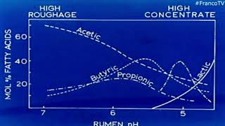 Fisiología Ruminal  Cambios de pH AcidosisAlcalosis [upl. by Attelliw241]