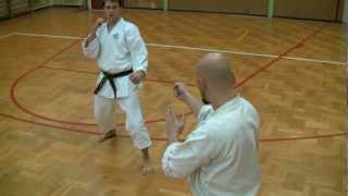 BASSAI DAI  Bunkai Kata ShitoRyu [upl. by Bannerman]