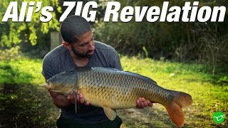 Alis Zig Revelation  Team Korda [upl. by Aschim467]