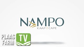 Rekord op rekord vir Nampo Kaap 2024 [upl. by Atalante769]