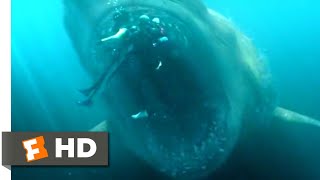 THE MEG  Enormous Killer Shark v Jason Statham  Movie Clip [upl. by Eutnoj]