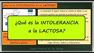 INTOLERANCIA A LA LACTOSA Mutación Enzima Lactasa Biología Glúcidos Hidrólisis Lactosa [upl. by Conti695]