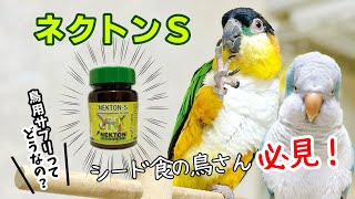 ネクトンSの湿気対策セットに感動！！黄色いお水に興味津々なインコたち【鳥の健康】 [upl. by Sophia]