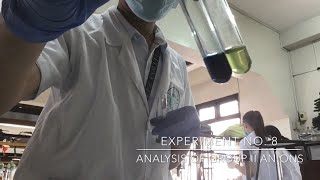 Experiment No 8 Analysis of Group II Anions [upl. by Anrahs]