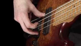 Learn Bass  How to Pluck the Strings [upl. by Einoj]