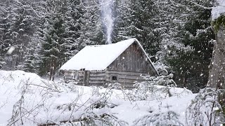 cold winter night in an abandoned hunters log cabin [upl. by Lenoil]