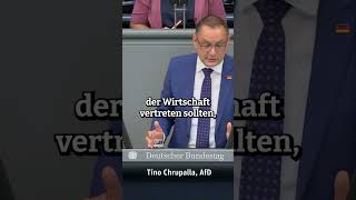 GRÜNE Politik AHNUNGSLOSE Steuergeldverschwendung  afd bundestag [upl. by Nahtanaoj784]