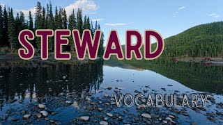 What is the meaning of Steward [upl. by Akins]