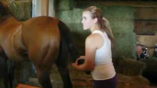 How To Wrap Your Horses Tail  With Special Guest EquitationPrincess [upl. by Aicilas]