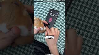 This Guy Trained His Rat to Unlock His Phone [upl. by Ttelrahc]