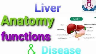 LIVER  Liver Anatomy physiology and disorders  Liver anatomy लीवर liverfunction liverdisease [upl. by Anayk]