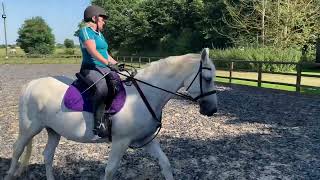 Elizabeth Soames riding dude age 21yrs intro 1F main arena open [upl. by Nnaillek]