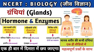 मानव ग्रंथियां  Glands  अंतःस्रावी ग्रंथियां  endocrine system  Hormones amp Enzymes  Study vines [upl. by Selway]