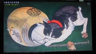 江戸時代の猫絵師 歌川国芳  Kuniyoshi Utagawa the painter about cats in Edo period [upl. by Cindi]