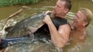 Monster Catfish Wrestling  Hillbilly Handfishin [upl. by Nahs]